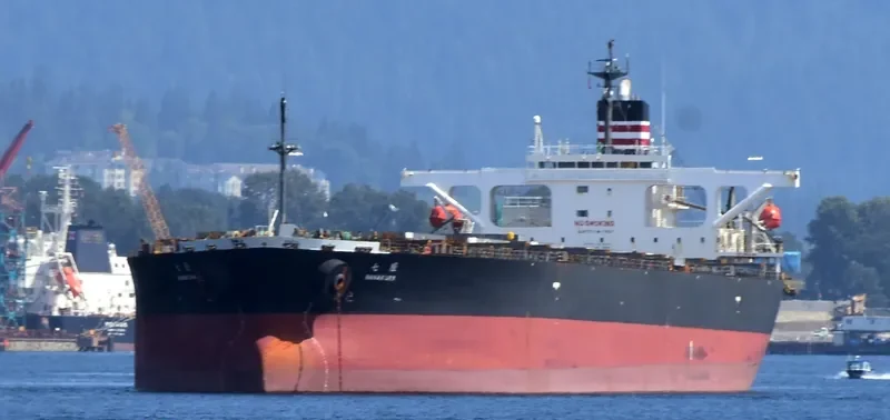 AMANAH MOROWALI AMC Bulk Carrier IMO 9233478 photo 6