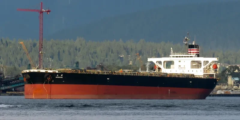AMANAH MOROWALI AMC Bulk Carrier IMO 9233478 photo 7