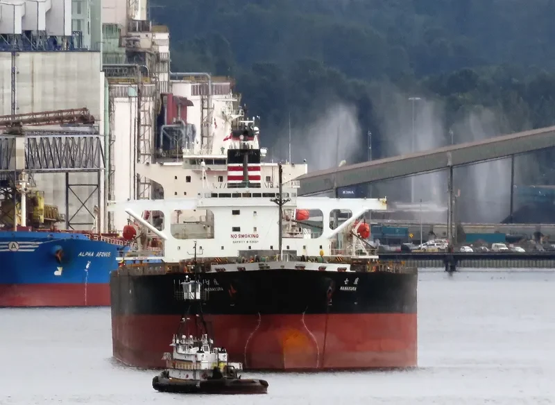 AMANAH MOROWALI AMC Bulk Carrier IMO 9233478 photo 8