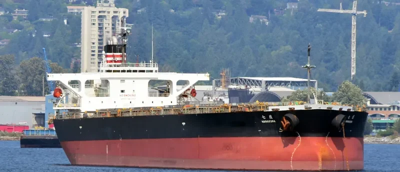 AMANAH MOROWALI AMC Bulk Carrier IMO 9233478 photo 10