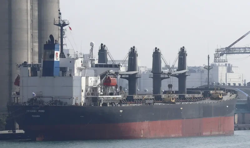 ZHONG LIANG HUA DONG Bulk Carrier IMO 9233480 photo 2