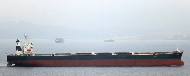 VIVA VESNA Bulk Carrier IMO 9233507