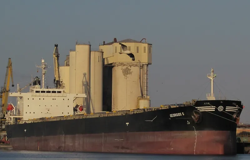 VIVA VESNA Bulk Carrier IMO 9233507 photo 2