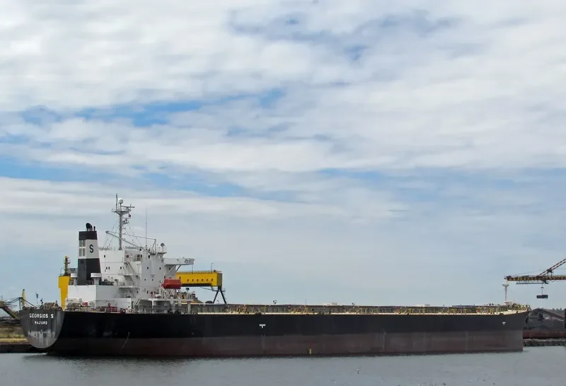 VIVA VESNA Bulk Carrier IMO 9233507 photo 4