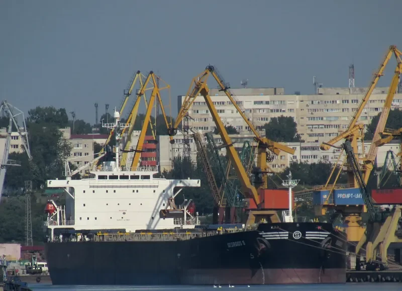 VIVA VESNA Bulk Carrier IMO 9233507 photo 5