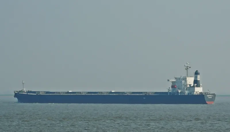 VIVA VESNA Bulk Carrier IMO 9233507 photo 6