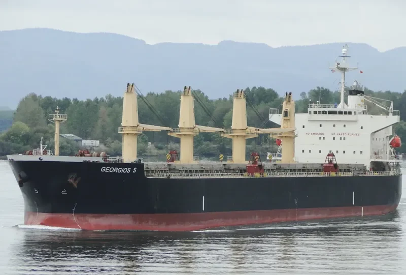 VIVA VESNA Bulk Carrier IMO 9233507 photo 7