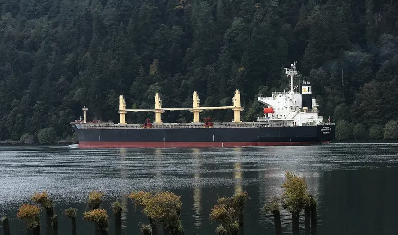 VIVA VESNA Bulk Carrier IMO 9233507 photo 8