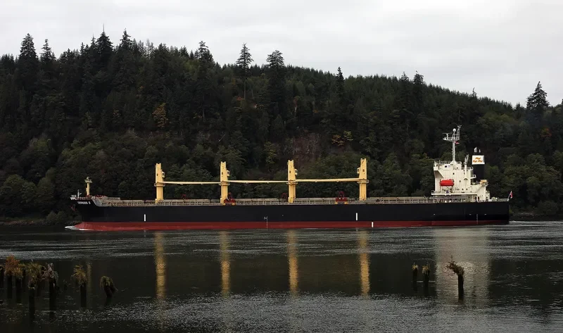VIVA VESNA Bulk Carrier IMO 9233507 photo 9