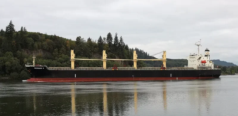 VIVA VESNA Bulk Carrier IMO 9233507 photo 10