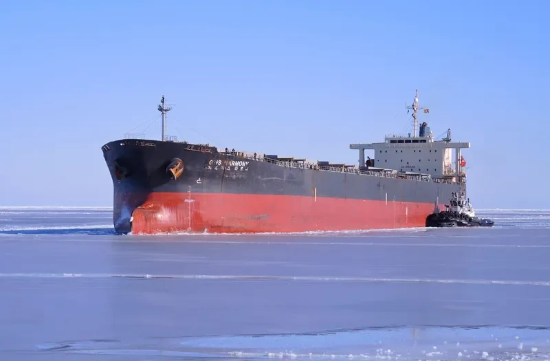 GNS HARMONY Bulk Carrier IMO 9233519 photo 4