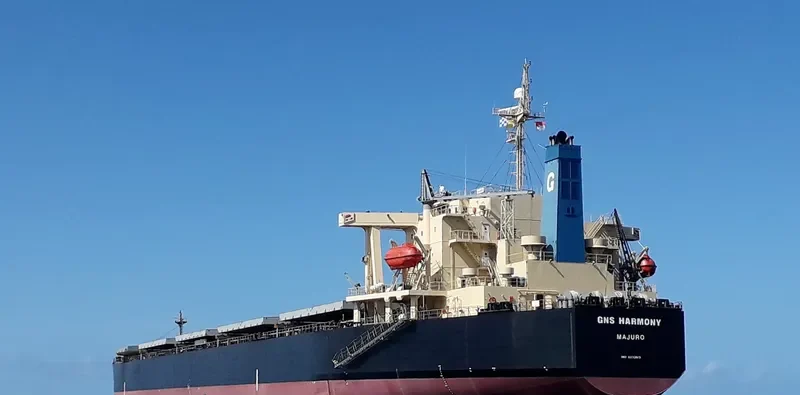GNS HARMONY Bulk Carrier IMO 9233519 photo 5