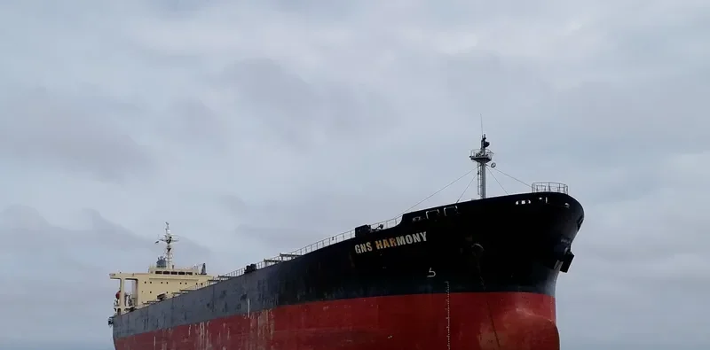 GNS HARMONY Bulk Carrier IMO 9233519 photo 7