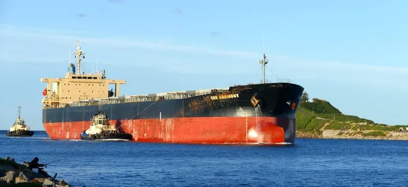 GNS HARMONY Bulk Carrier IMO 9233519 photo 9
