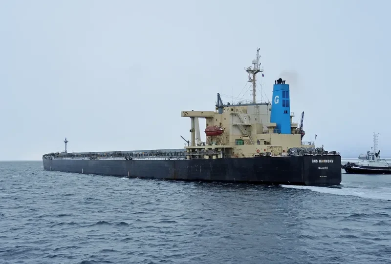 GNS HARMONY Bulk Carrier IMO 9233519 photo 10