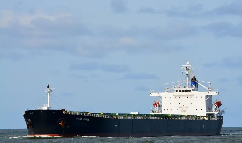 ZHUN XING 7 Bulk Carrier IMO 9233521