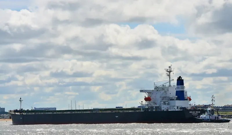 ZHUN XING 7 Bulk Carrier IMO 9233521 photo 2