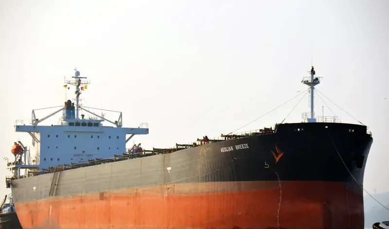 ZHUN XING 7 Bulk Carrier IMO 9233521 photo 3