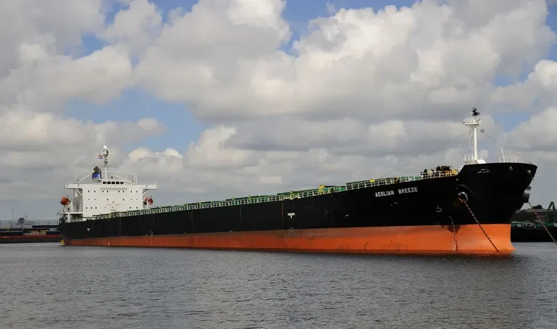 ZHUN XING 7 Bulk Carrier IMO 9233521 photo 4