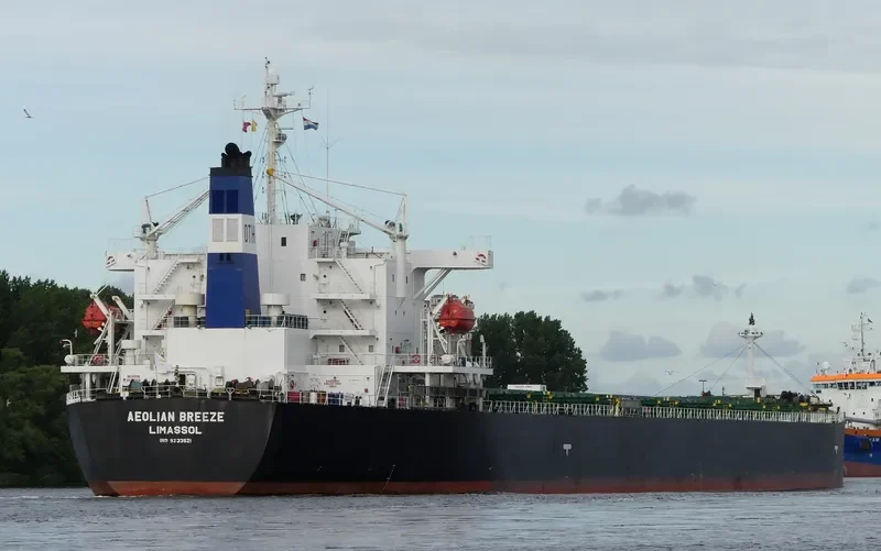 ZHUN XING 7 Bulk Carrier IMO 9233521 photo 5
