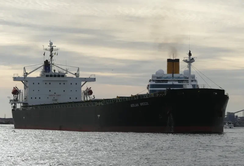 ZHUN XING 7 Bulk Carrier IMO 9233521 photo 6