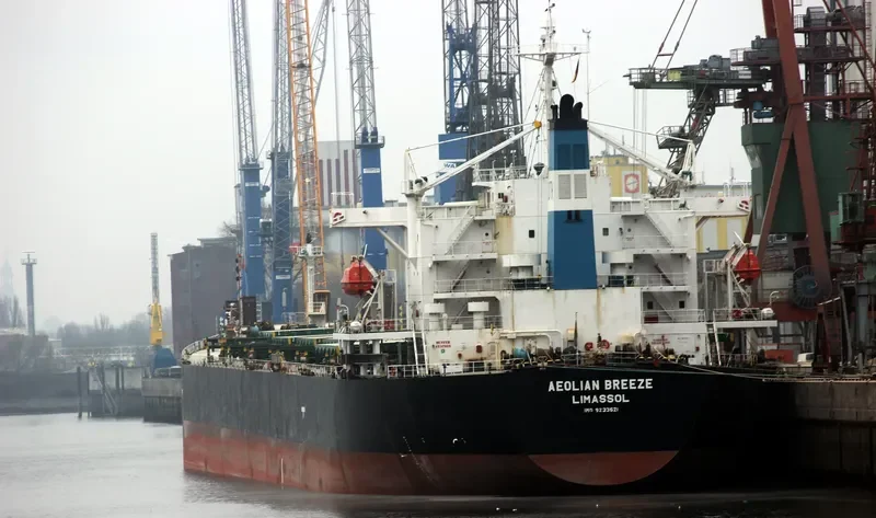 ZHUN XING 7 Bulk Carrier IMO 9233521 photo 7