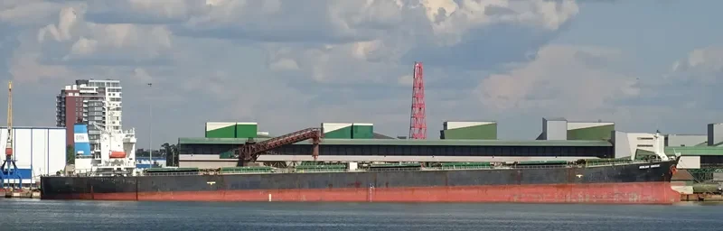 ZHUN XING 7 Bulk Carrier IMO 9233521 photo 9