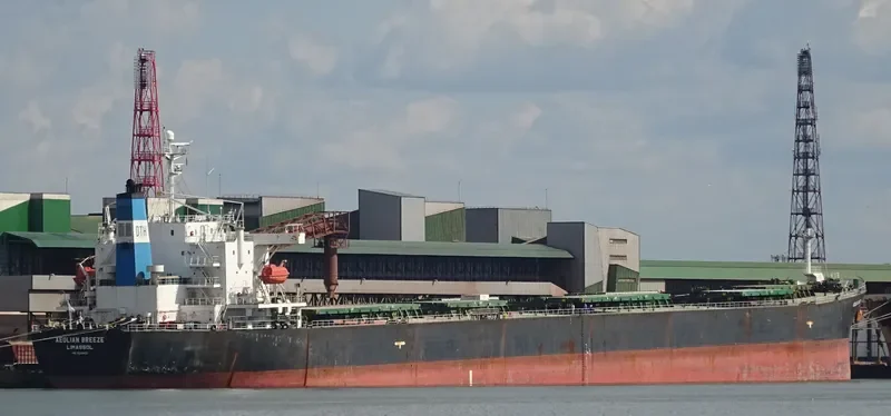 ZHUN XING 7 Bulk Carrier IMO 9233521 photo 10
