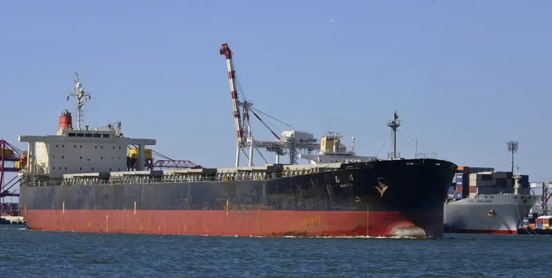 DONG FANG HAI TAI Bulk Carrier IMO 9233533 photo 2