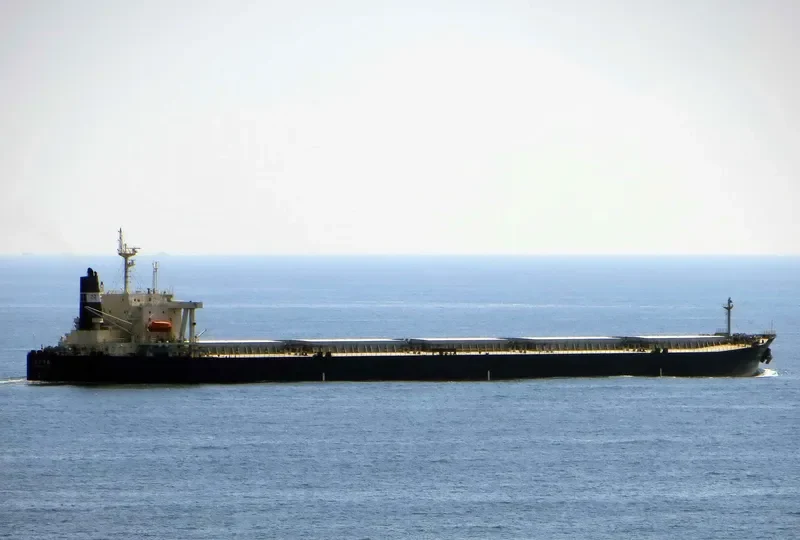 DONG FANG HAI TAI Bulk Carrier IMO 9233533 photo 9