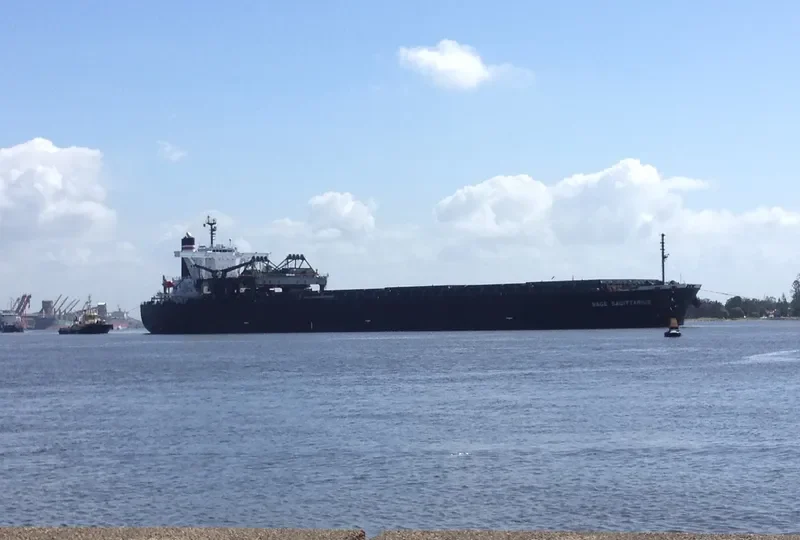 SAGE SAGITTARIUS Bulk Carrier IMO 9233545 photo 5