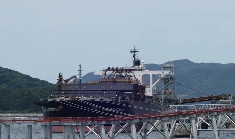 SAGE SAGITTARIUS Bulk Carrier IMO 9233545 photo 7