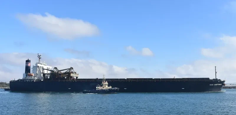 SAGE SAGITTARIUS Bulk Carrier IMO 9233545 photo 8