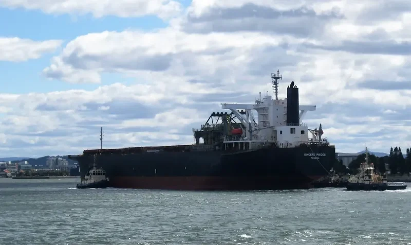 SINCERE PISCES Bulk Carrier IMO 9233569