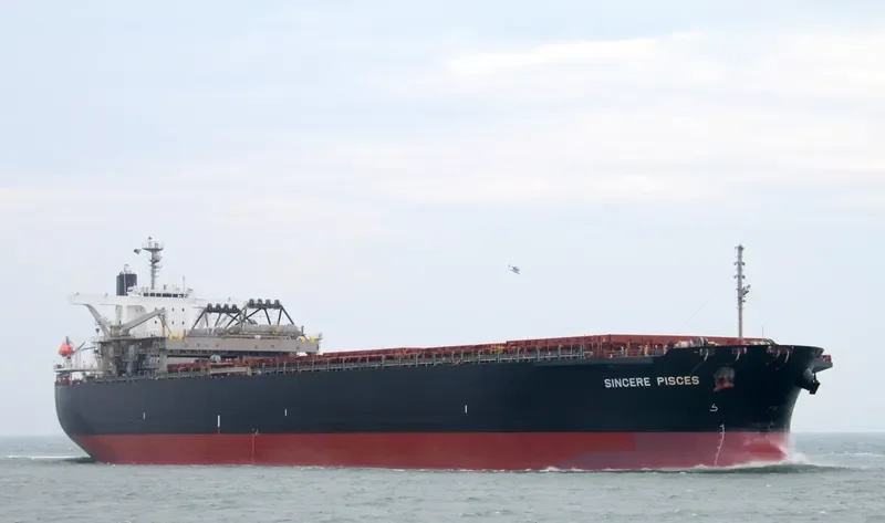 SINCERE PISCES Bulk Carrier IMO 9233569 photo 7