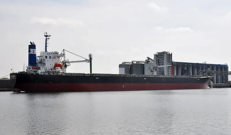 HONG RUN 6 Bulk Carrier IMO 9233583