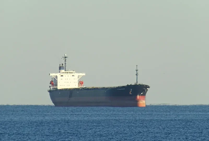 HONG RUN 6 Bulk Carrier IMO 9233583 photo 9