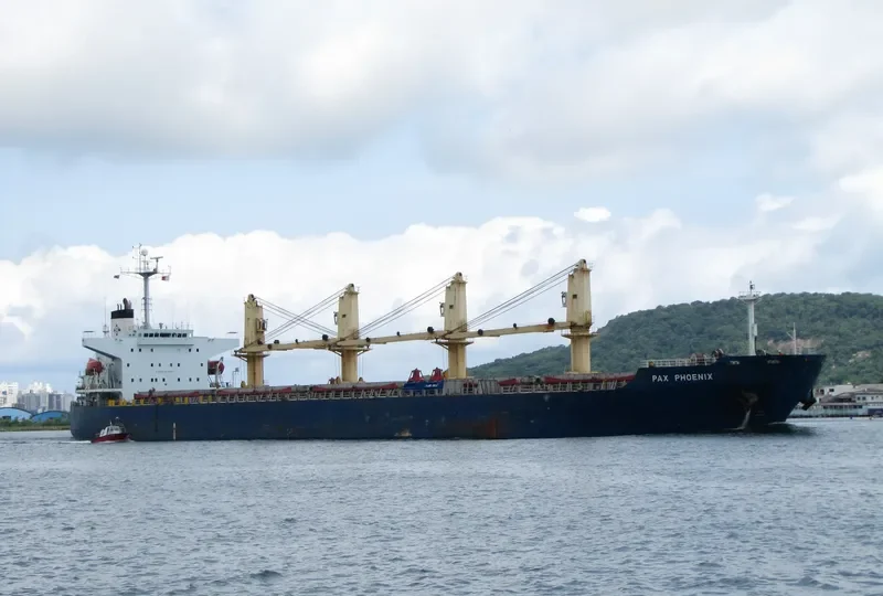 SARWAR JAHAN Bulk Carrier IMO 9233600 photo 3
