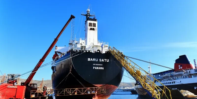 LADY SEMA Bulk Carrier IMO 9233624 photo 3