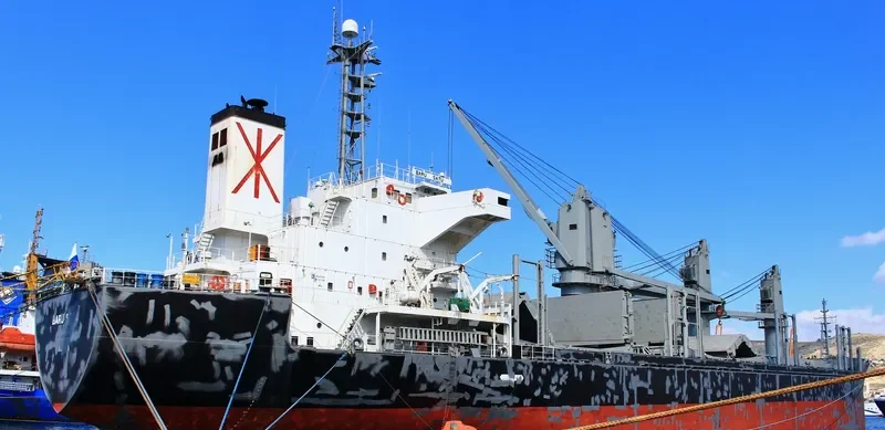 LADY SEMA Bulk Carrier IMO 9233624 photo 4