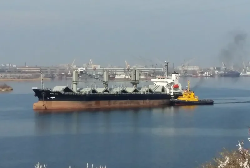 LADY SEMA Bulk Carrier IMO 9233624 photo 5