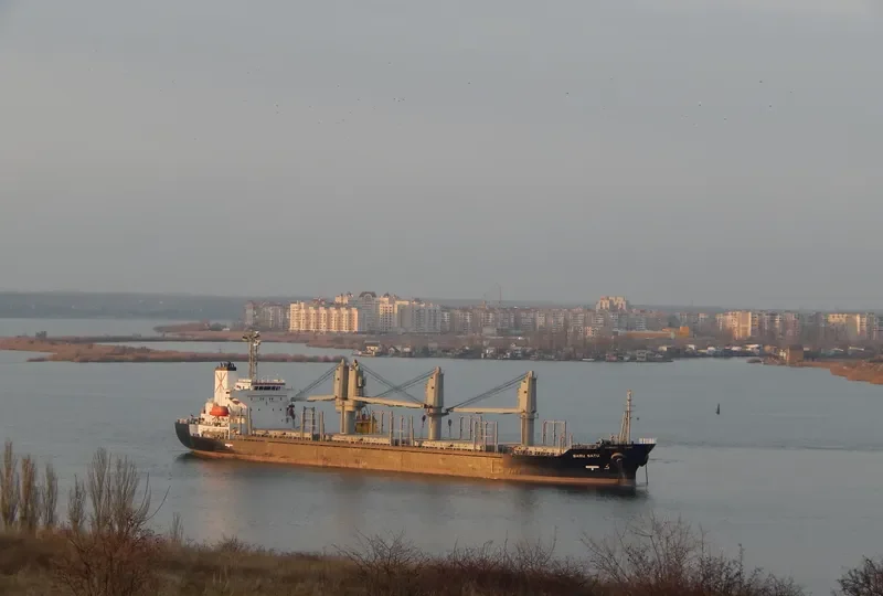 LADY SEMA Bulk Carrier IMO 9233624 photo 6