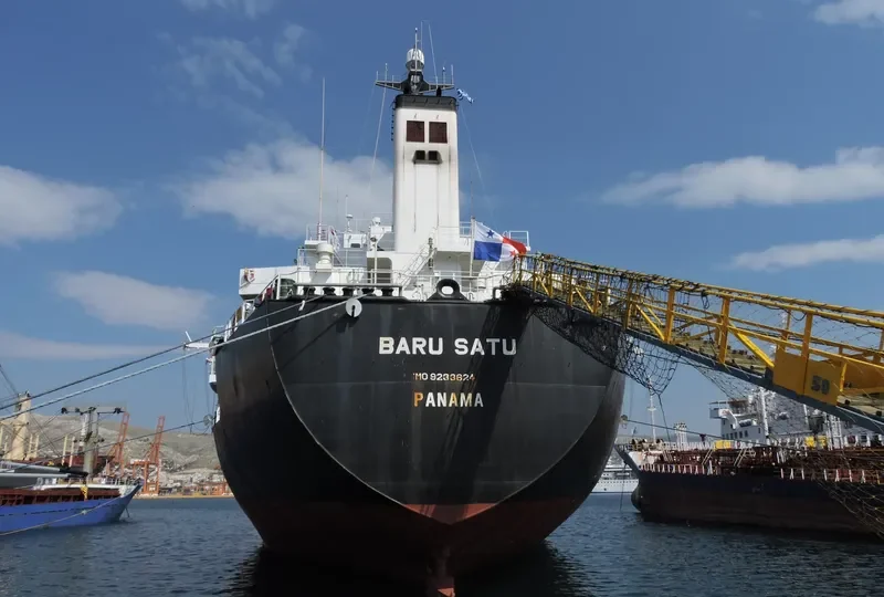 LADY SEMA Bulk Carrier IMO 9233624 photo 10