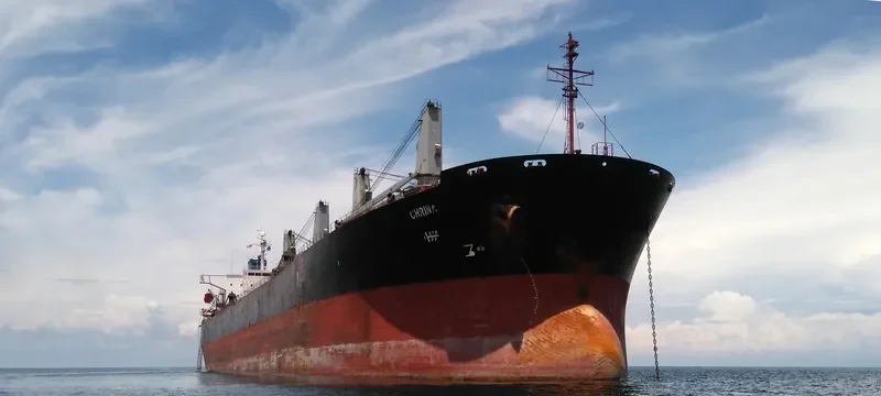 IASOS Bulk Carrier IMO 9233882 photo 7