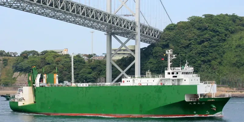 SEATRAN FERRY 10 General Cargo IMO 9233894 photo 4