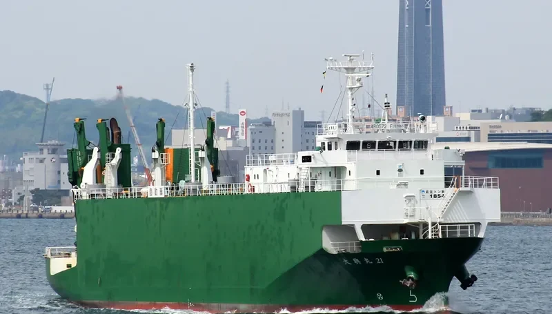 SEATRAN FERRY 10 General Cargo IMO 9233894 photo 6