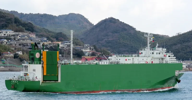 SEATRAN FERRY 10 General Cargo IMO 9233894 photo 8
