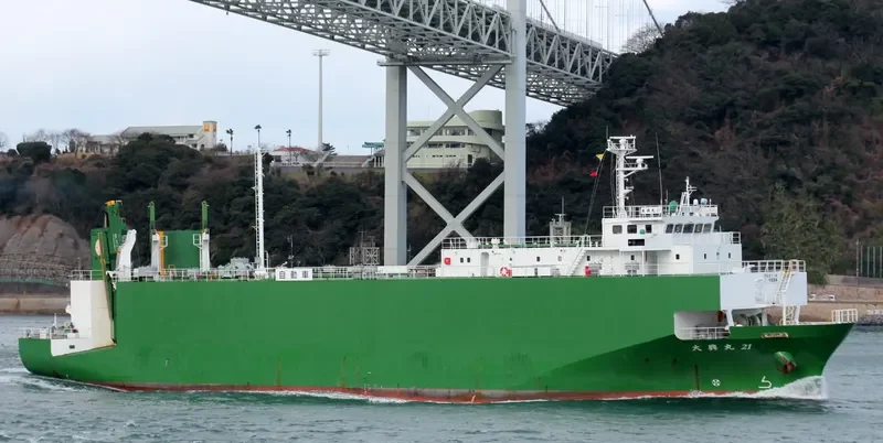 SEATRAN FERRY 10 General Cargo IMO 9233894 photo 9