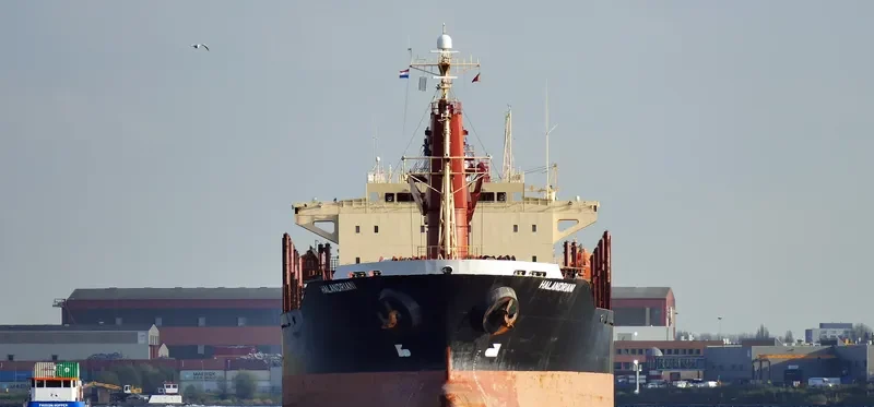 BAO SHUN Bulk Carrier IMO 9233911 photo 6
