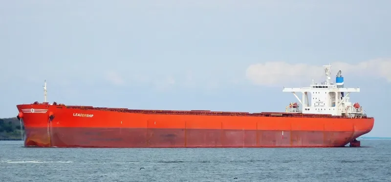 LEADERSHIP Bulk Carrier IMO 9233923 photo 2